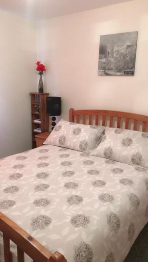 Comfy Home